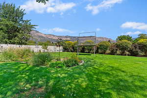 View of yard with a mountain view
