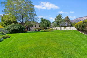 View of yard with a mountain view