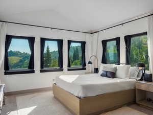 Bedroom featuring carpet floors, lofted ceiling, and multiple windows