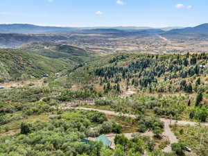 Aerial view of a mountain backdrop and a forest