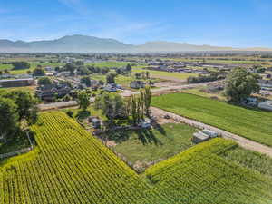 View of rural area with a mountain backdrop and rows of crops