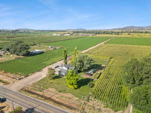 Aerial view of sparsely populated area with a mountain backdrop and rows of crops