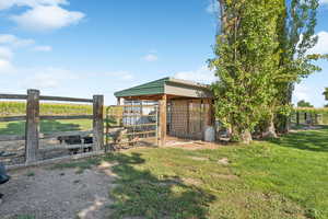 View of yard with an outbuilding