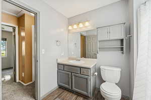 Bathroom featuring vanity and dark wood-style flooring