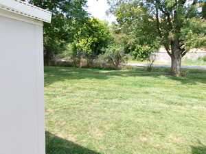View of green lawn featuring view of scattered trees