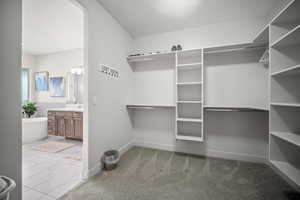 Spacious closet with light colored carpet