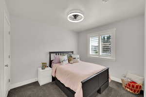 Bedroom with dark colored carpet