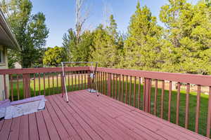 Wooden deck with trees surrounding the back yard. The yard goes beyond those trees