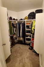 Master Walk in closet featuring light colored carpet