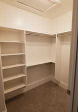 Walk in closet with light colored carpet