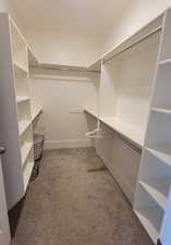 Master walk-in closet with light colored carpet