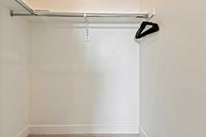 Walk in closet with carpet floors