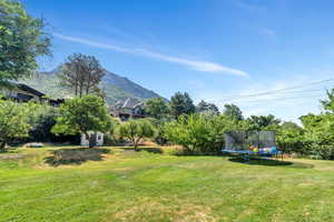 View of grassy yard with a trampoline and a mountain view