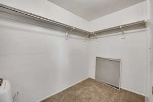 Spacious closet featuring carpet