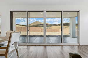 Entryway featuring wood finished floors, a mountain view, and plenty of natural light