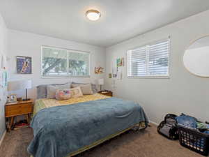 Duplex unit bedroom with multiple windows and carpet flooring
