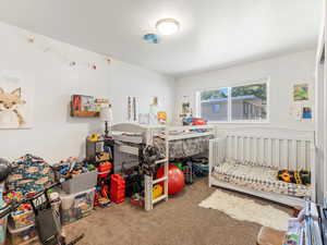 Duplex unit bedroom featuring carpet floors
