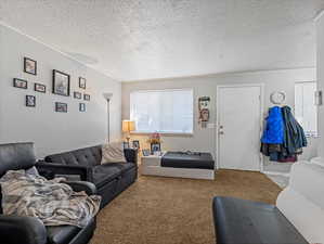 4-plex unit carpeted living area