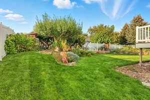 View of fenced backyard
