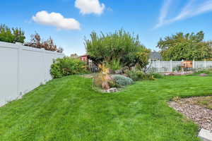 View of fenced backyard