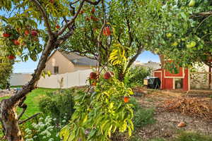 View of yard featuring an outdoor structure