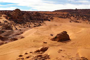 Dunes are about 1.5 Miles Away!