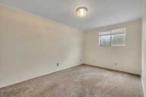 Empty room featuring ornamental molding and carpet floors