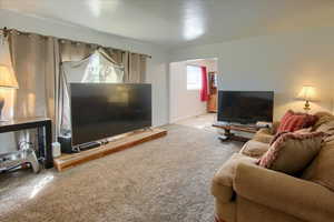 Carpeted living room featuring baseboards