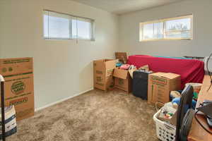 Bedroom with carpet flooring and multiple windows