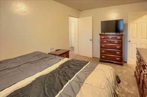 Bedroom featuring light colored carpet