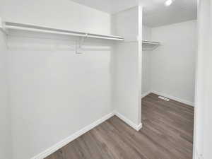 Spacious closet featuring dark wood-style flooring