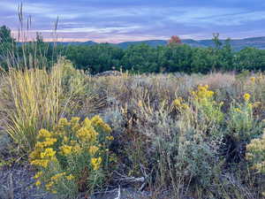 View of mountain backdrop