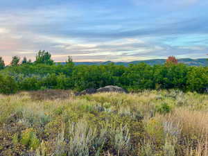 Nature at dusk with a mountain view and a wooded view