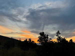 View of local wilderness