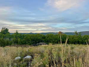View of mountain backdrop with a forest