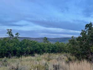 View of mountain backdrop with a forest