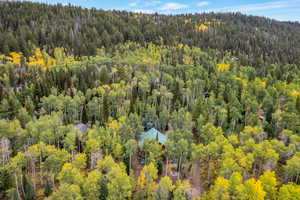 Drone / aerial view of a heavily wooded area