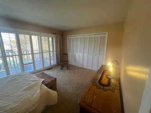 Bedroom featuring carpet floors and a closet