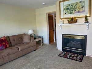 Living room featuring carpet and a glass covered fireplace