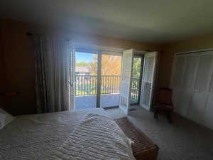 Bedroom featuring access to exterior, carpet flooring, and a closet