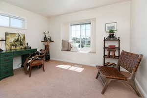 Carpeted room space featuring plenty of natural light