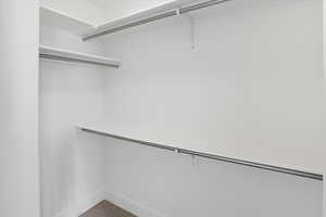 Spacious walk-in closet with carpet