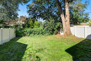 View of fenced backyard