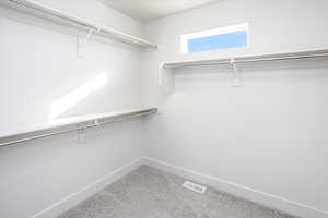 Walk in closet with light colored carpet