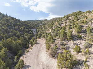Mountain view with a forest