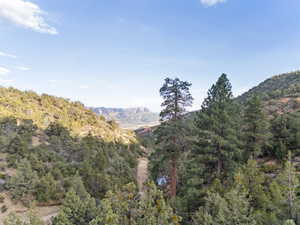View of mountain background with a forest