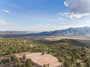 View of mountain background with a heavily wooded area