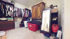 Spacious closet featuring light carpet