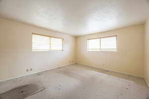 Empty room with healthy amount of natural light, carpet floors, and a textured ceiling