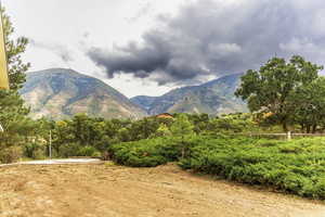 View of mountain background